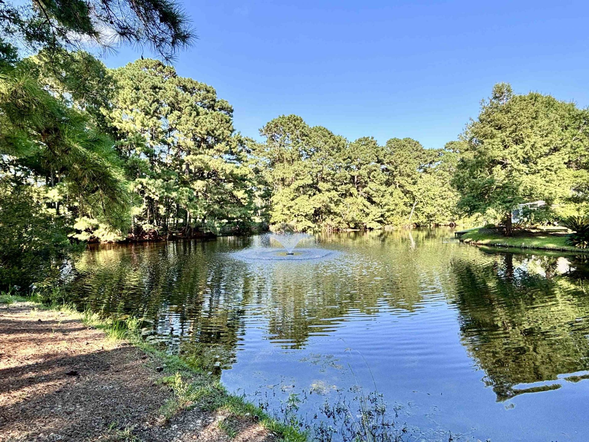 605 Needlerush Ct. Photo 90