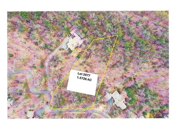 1183 Mcelroy Mountain Drive , Big Canoe, GA 30143