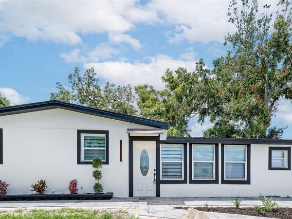 4311 E FRIERSON AVENUE , TAMPA, FL 33610