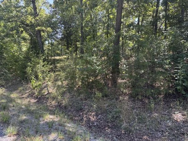 124 Valley Drive , Holiday Island, AR 72631