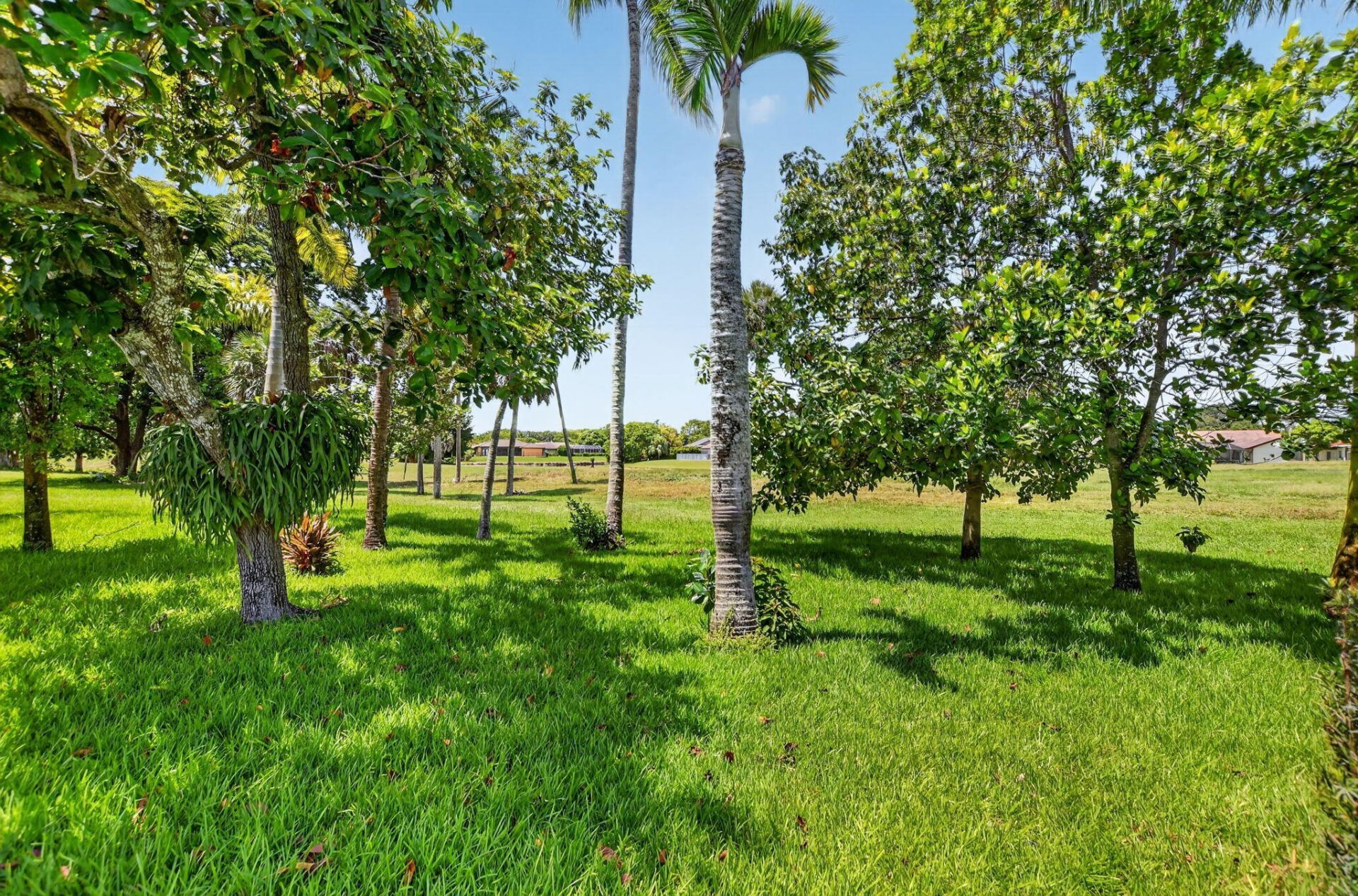 19747 Boca Greens Drive, Boca Raton, FL 33498 Photo