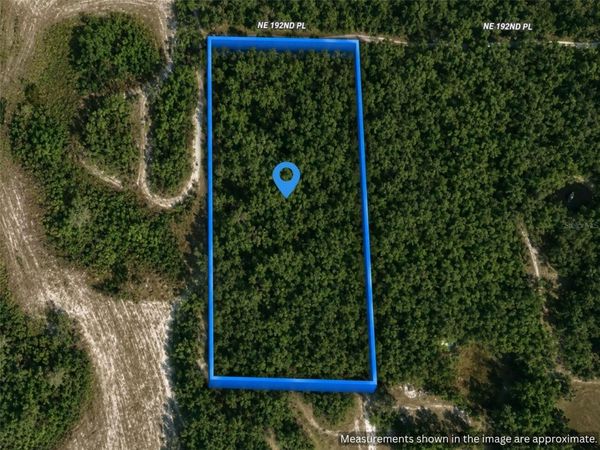 X , CITRA, FL 32113