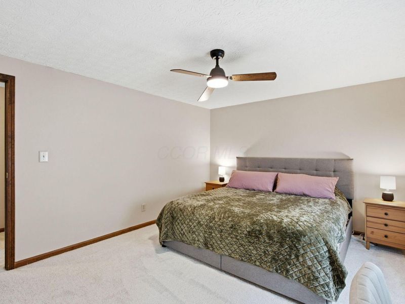8833 KNIGHTON Court, Powell, OH 43065 Photo 20