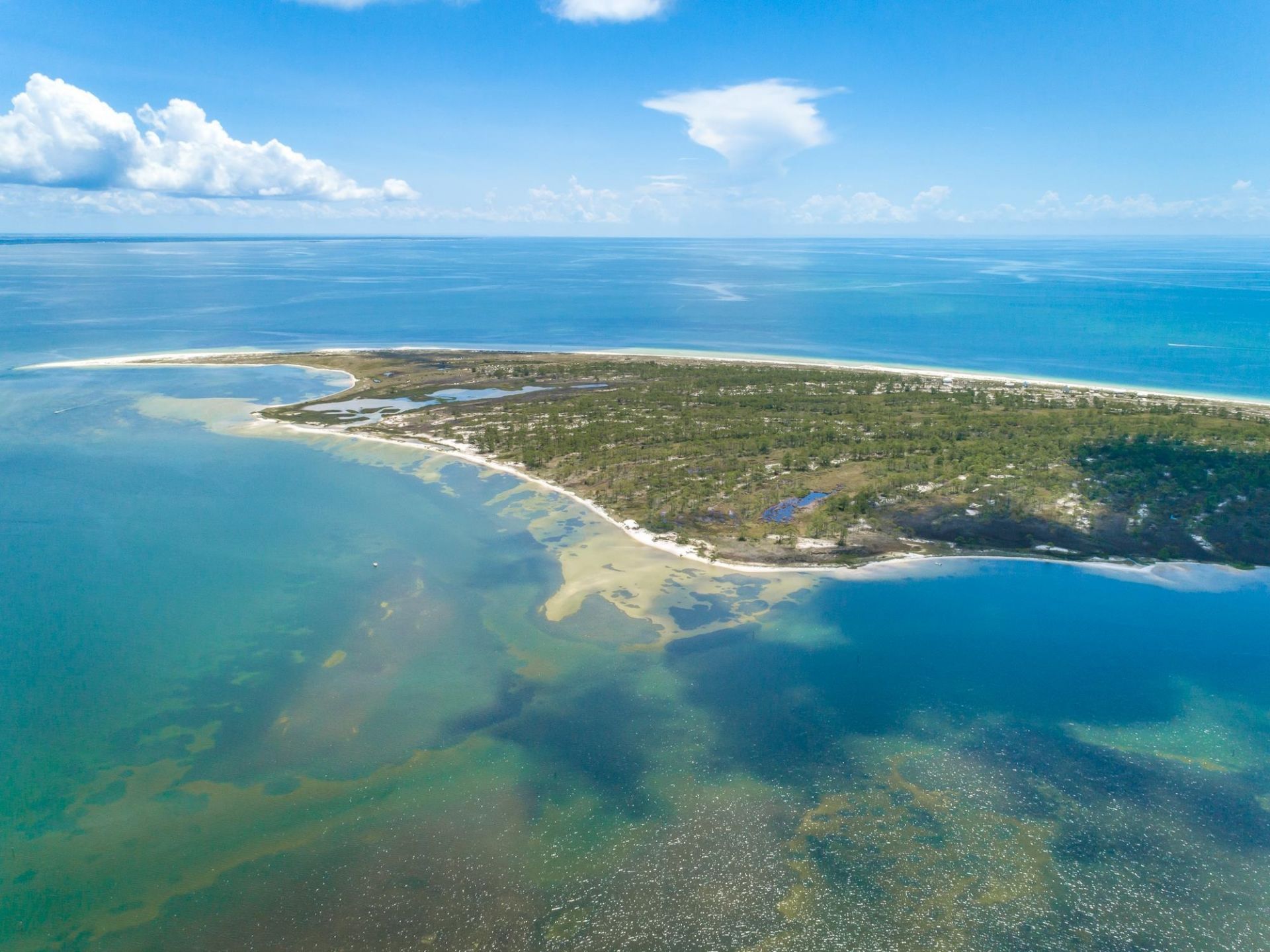 262 Gulf Shore Drive , Carrabelle, FL 32322 Photo