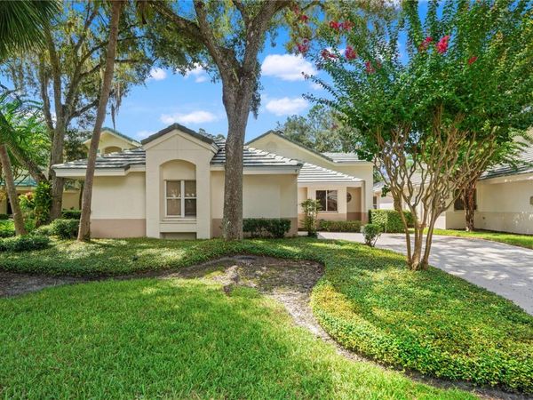 6005 FAIRWAY PALMS COURT , TAMPA, FL 33647