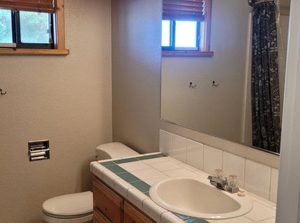 11 Lower Colony Road, Wellington, NV 89444 Photo