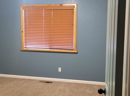 11 Lower Colony Road, Wellington, NV 89444 Photo