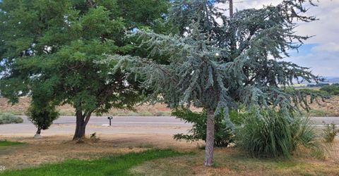 11 Lower Colony Road, Wellington, NV 89444 Photo