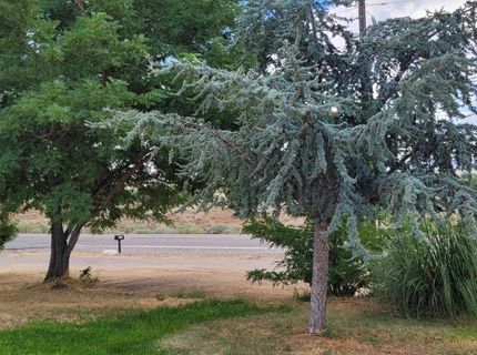 11 Lower Colony Road, Wellington, NV 89444 Photo