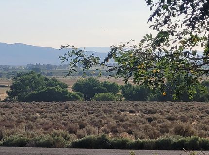 11 Lower Colony Road, Wellington, NV 89444 Photo
