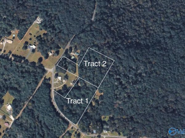 Tract 1 Wyeth Mountain Road, Guntersville, AL 35976