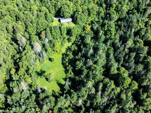 142 Hines Place Trail, Walden, VT 05836