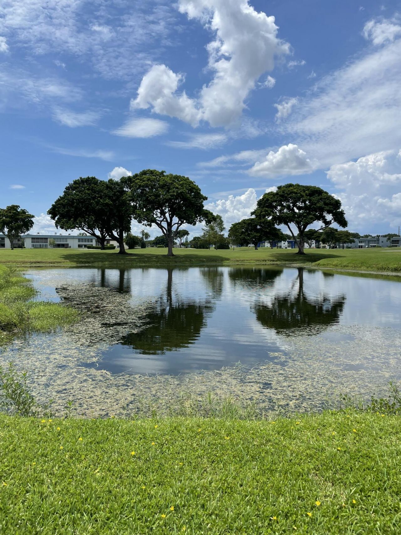 258 Burgundy F, Delray Beach, FL 33484 Photo