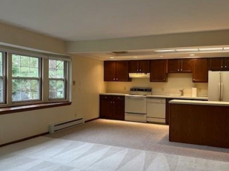 119 Burlington Oval Drive, Unit 10, Chardon, OH 44024 Photo 10