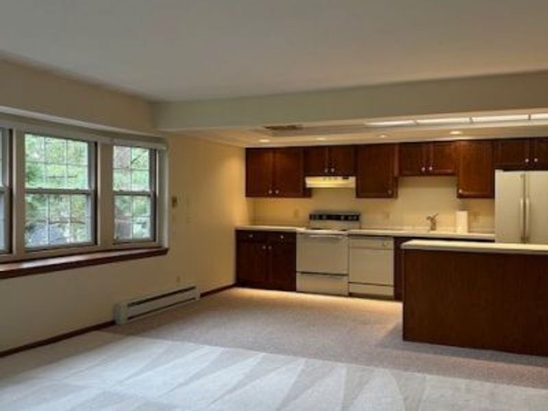 119 Burlington Oval Drive, Unit 10, Chardon, OH 44024 Photo 11