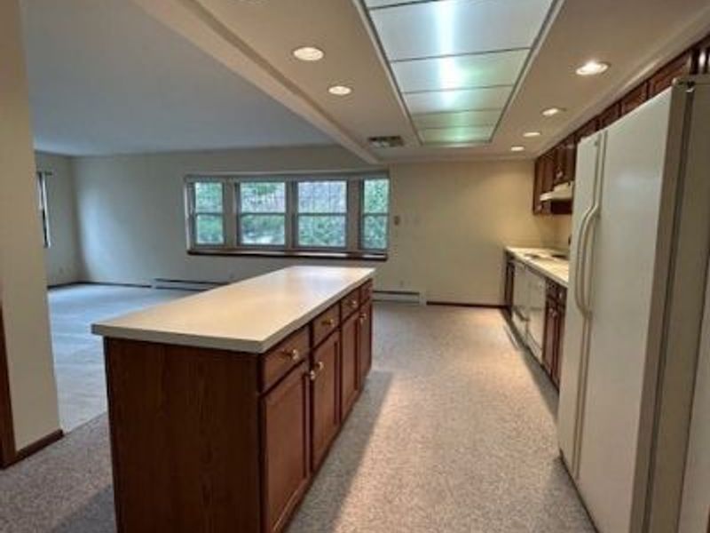 119 Burlington Oval Drive, Unit 10, Chardon, OH 44024 Photo 13
