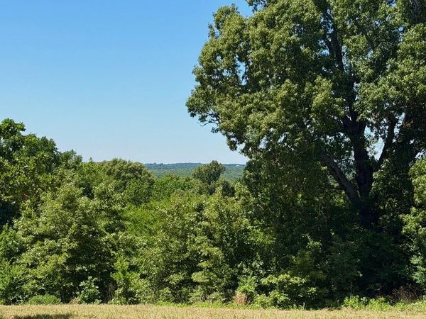 261 HIGH POINT Court , Athens, TX 75752