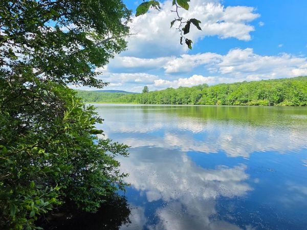 Shore Rd , Swan Lake, NY 12783