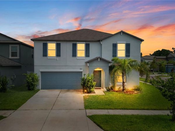 7420 PEARLY EVERLASTING AVENUE , TAMPA, FL 33619