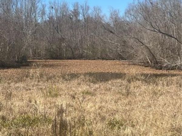 161 TAHITI Trail, Vacherie, LA 70090