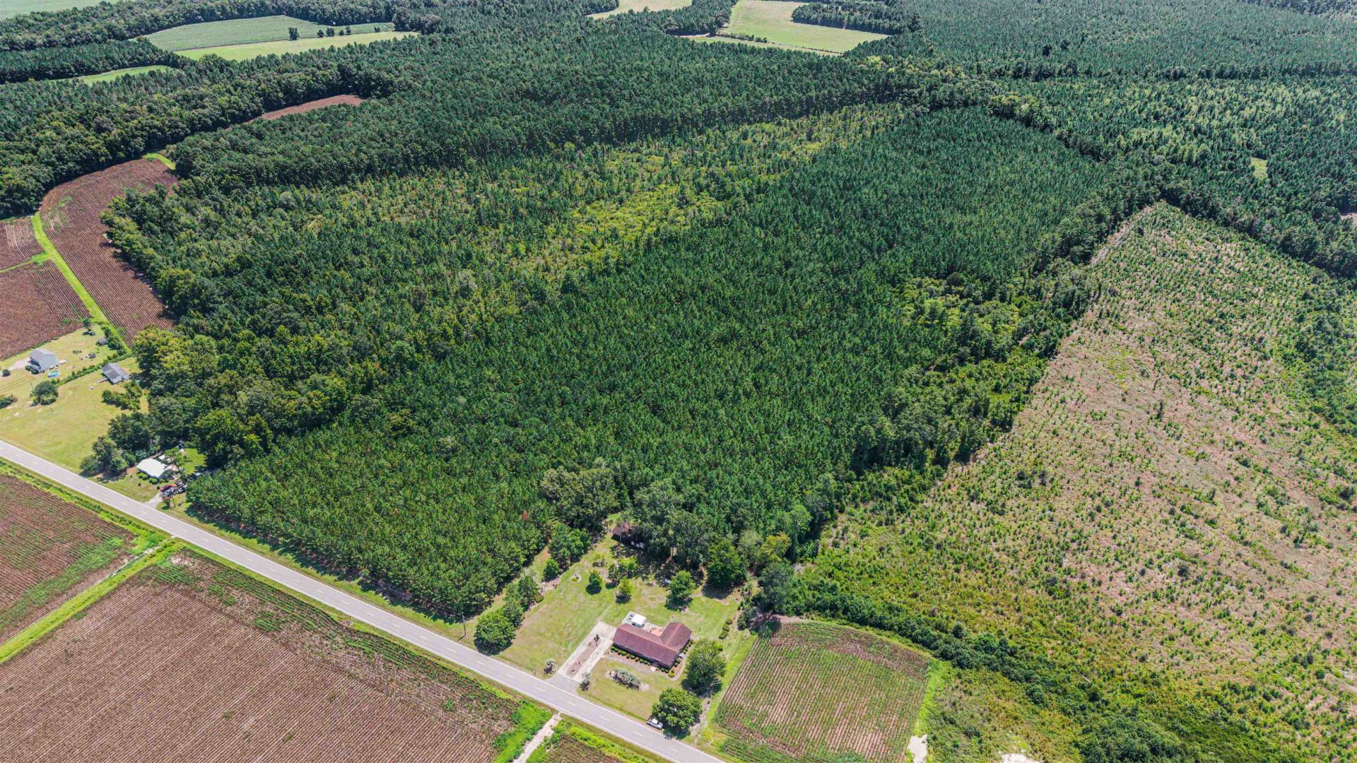 948 Whispering Pines Rd. Photo 31