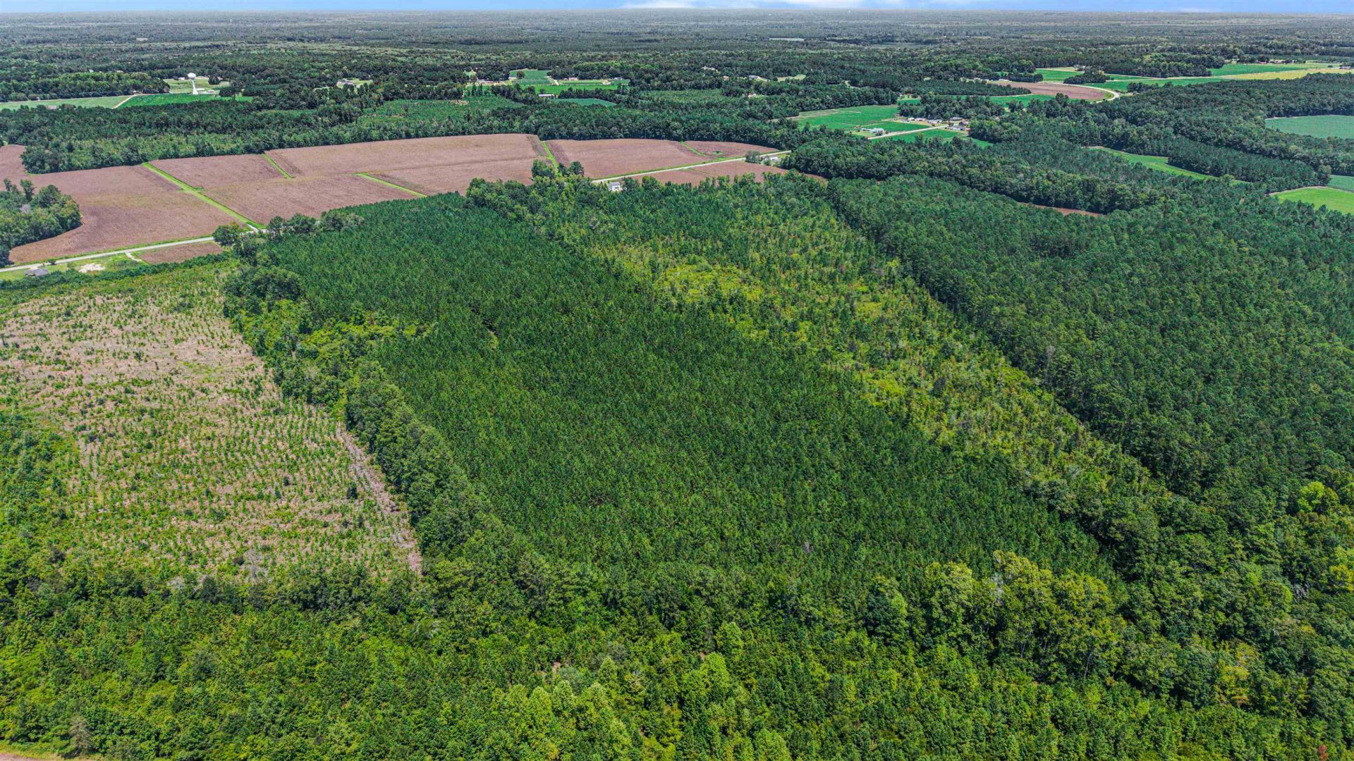 948 Whispering Pines Rd. Photo 33