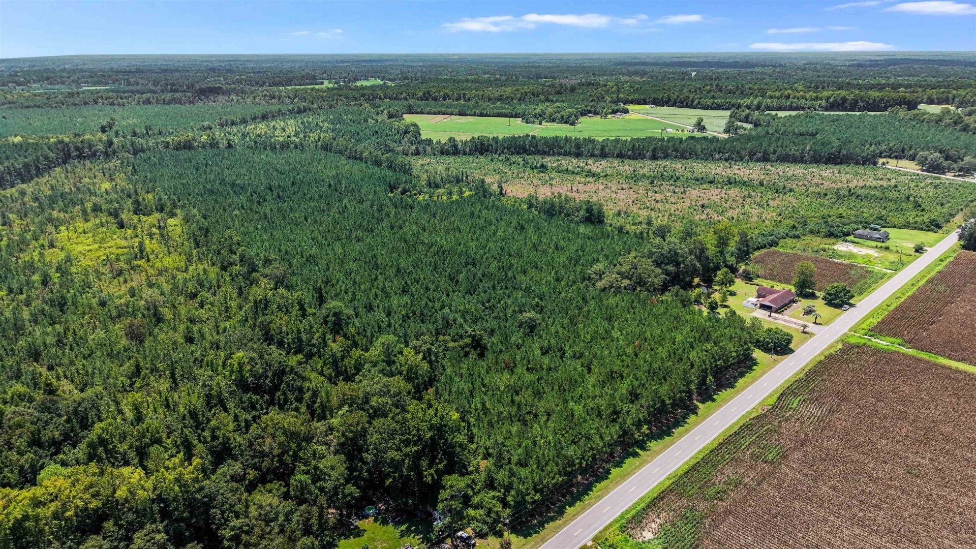 948 Whispering Pines Rd. Photo 34