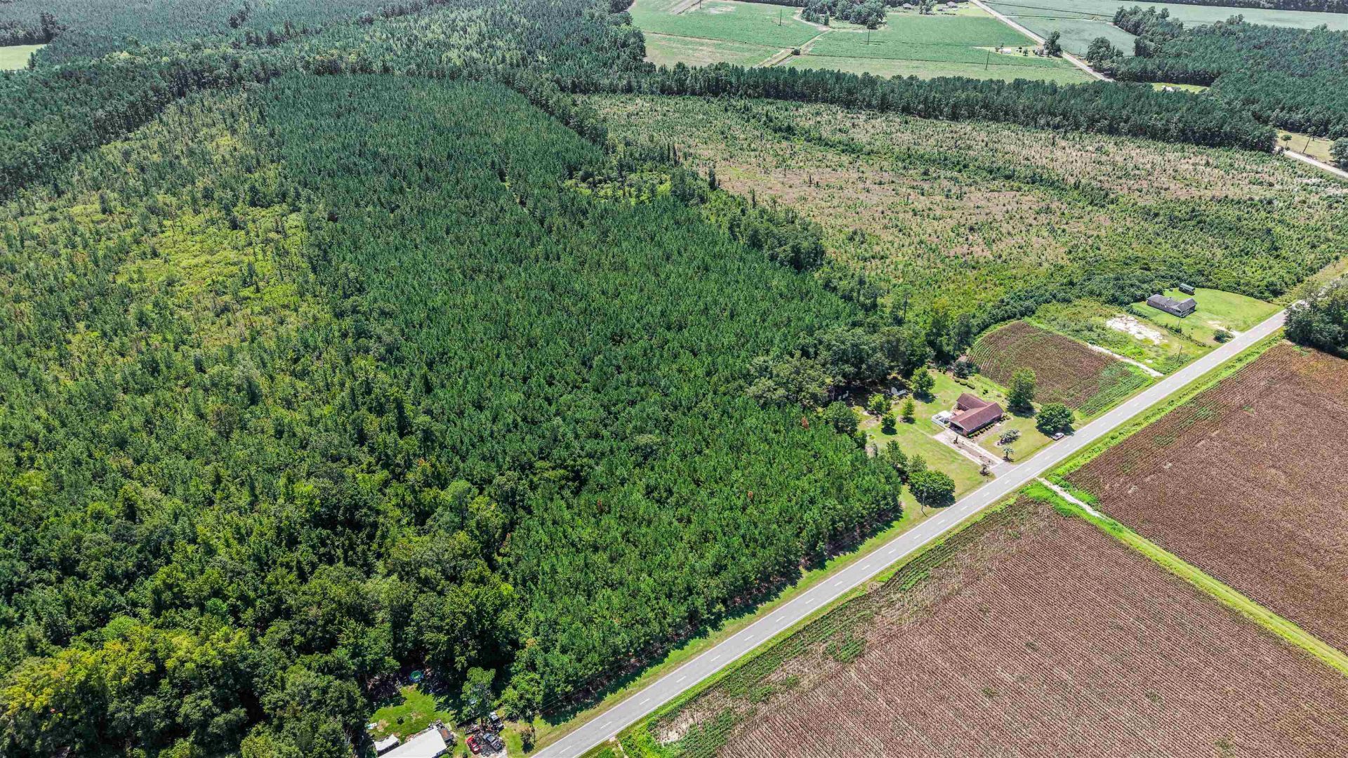 948 Whispering Pines Rd. Photo 35