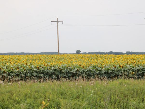 000 State Hwy 219 , Goodridge, MN 56725