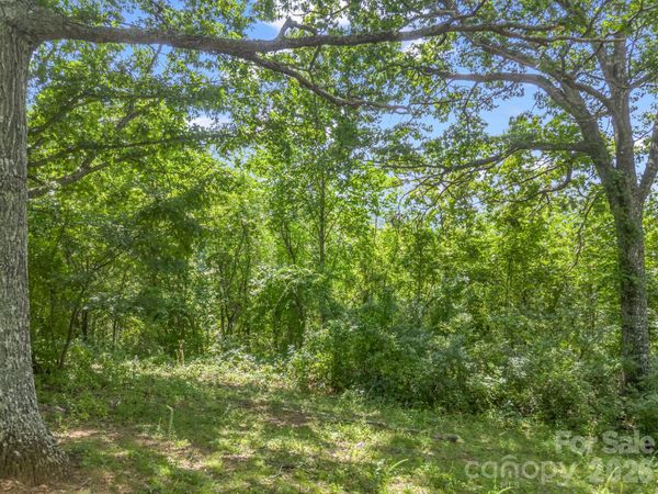 61 Sugar Maple Drive , Black Mountain, NC 28711