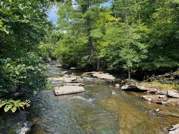 262 Rudolph Weir Junior Road, Cairo, NY 12413