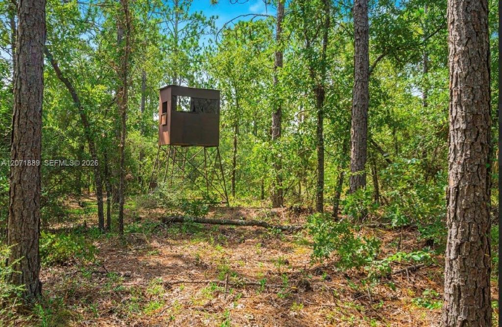 5263 Coy Burgess Loop , Defuniak Springs, FL 32435 Photo