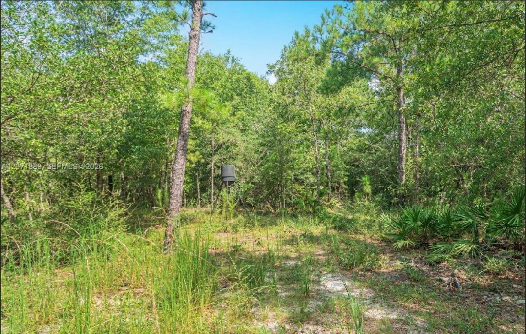 5263 Coy Burgess Loop , Defuniak Springs, FL 32435 Photo