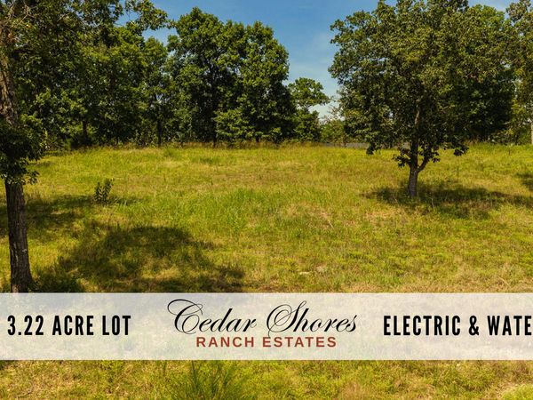 613 Lake Ranch Road , Kissee Mills, MO 65680