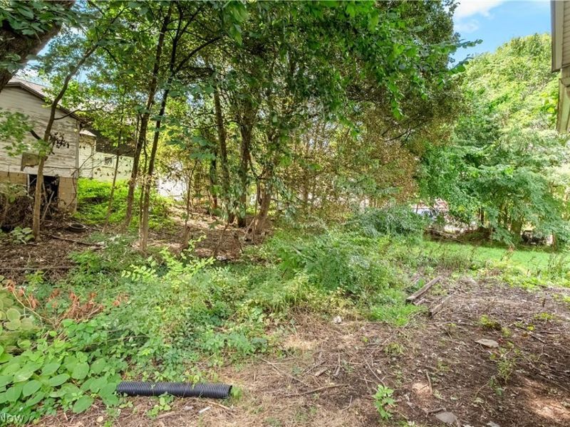 1152 Manning Avenue, Akron, OH 44307 Photo 33