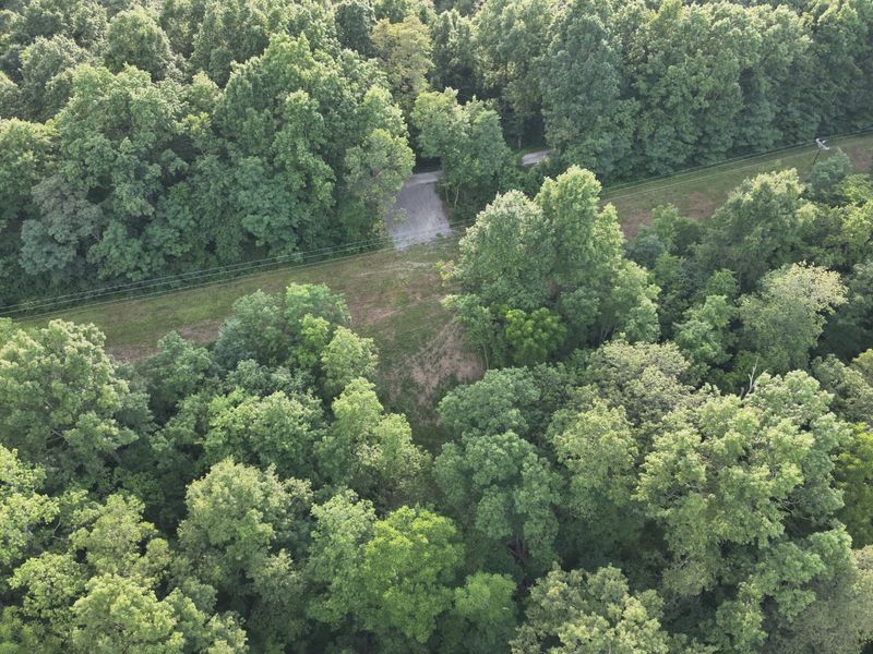 755 Galbraith Road, Brooksville, KY 41004 Photo 2