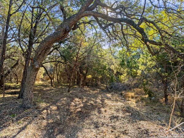 2095 Desiree Street, Canyon Lake, TX 78133