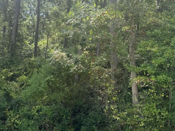 High Ridge Drive, Ocean Springs, MS 39564