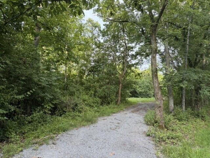 881 Galbraith Road, Brooksville, KY 41004 Photo 1