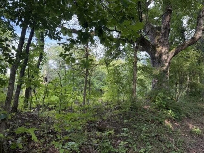 881 Galbraith Road, Brooksville, KY 41004 Photo 3
