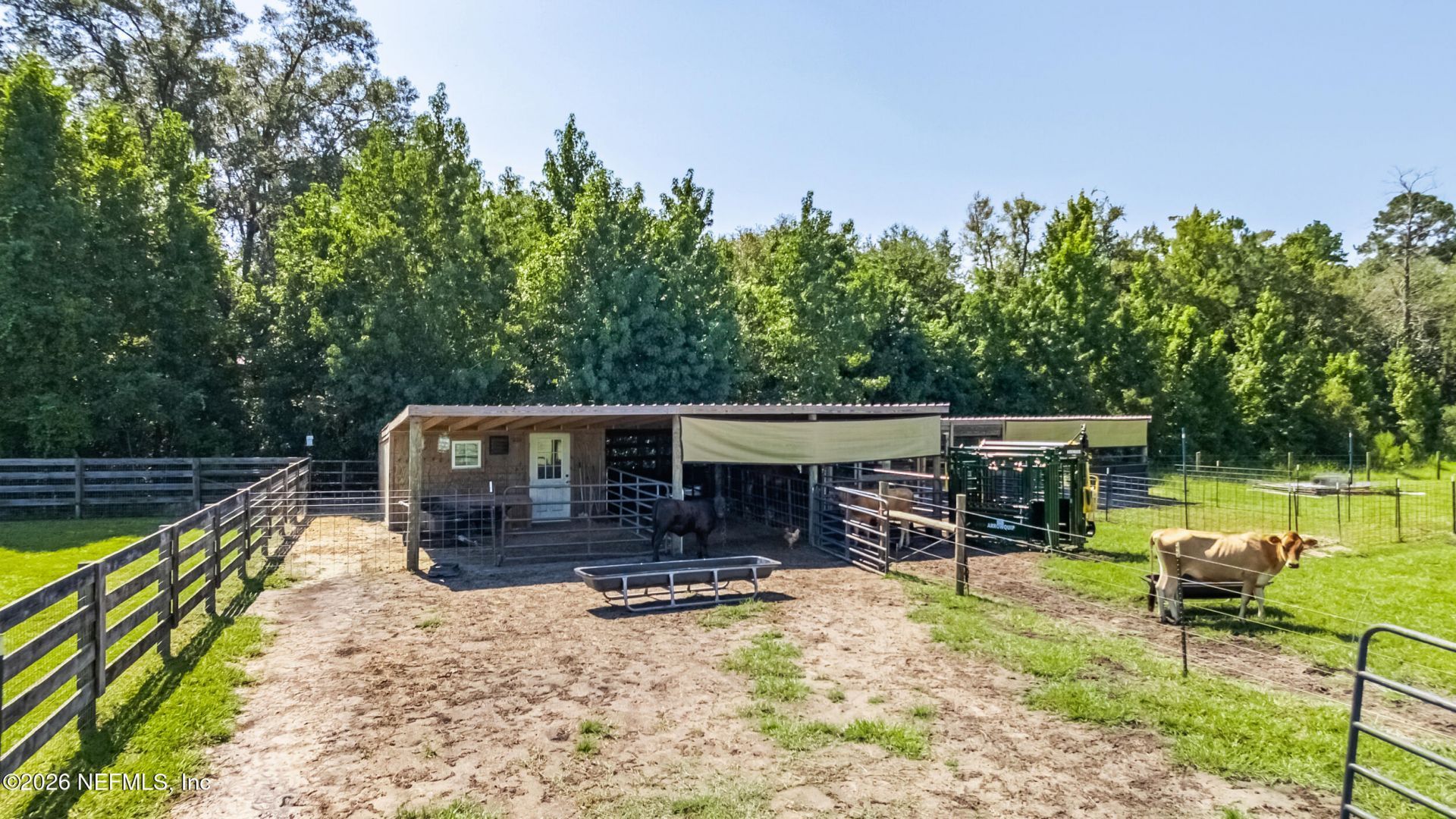 54500 Wildlife Way, Callahan, FL 32011 Photo