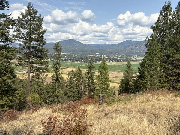 NKA Pine Rose (Lot 1) Way, Chewelah, WA 99109