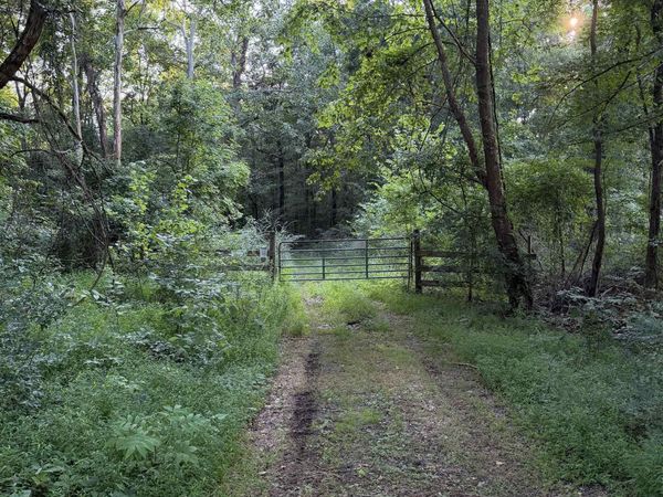 00000 Frankfort Rd, Tuscumbia, AL 35674
