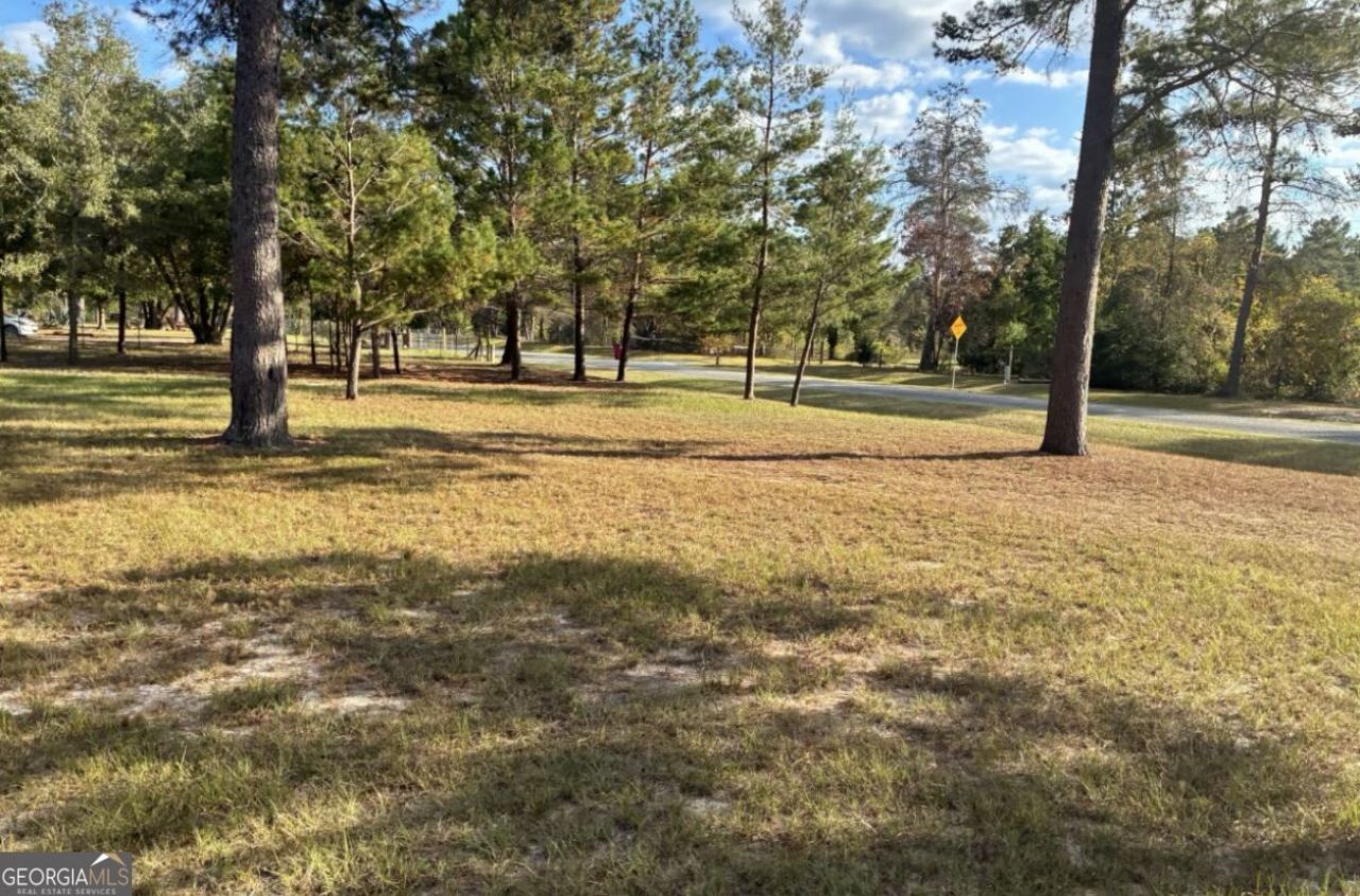 191 Rowell Road, Roberta, GA 31078 Main Photo