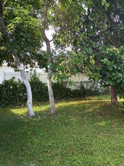6761 NW 24th Court, Margate, FL 33063 Photo