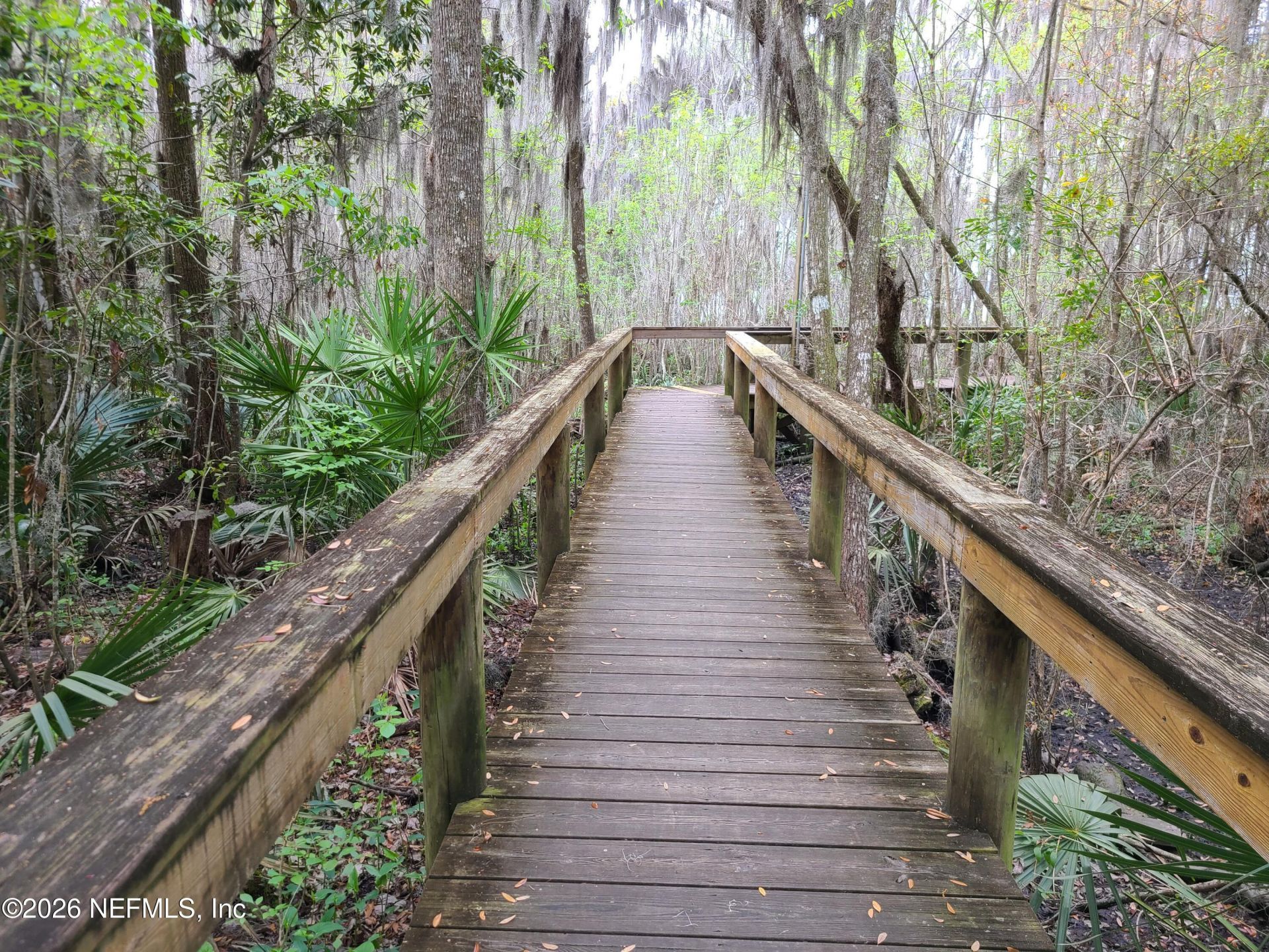 1477 Marsh Rabbit Way, Fleming Island, FL 32003 Photo
