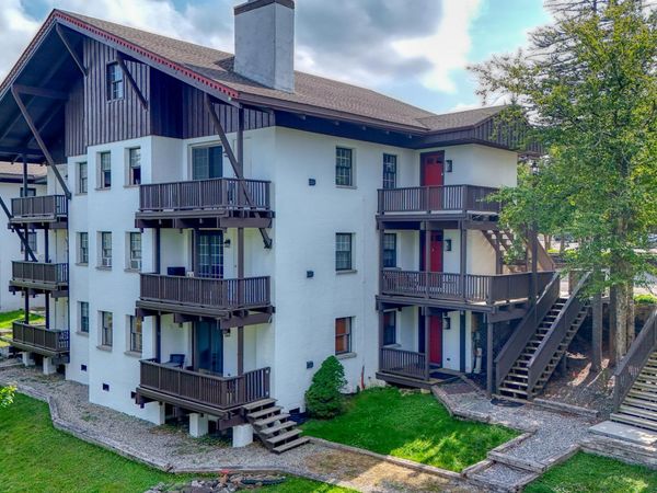 41 Whistlepunk Lane, Snowshoe, WV 26209