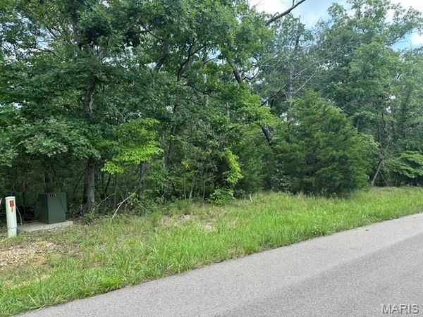 483 Buzzard Rock Road, Farmington, MO 63640