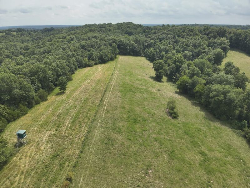 2318 Barlow Road, Cynthiana, KY 41031 Photo 2