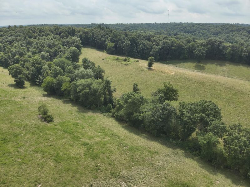 2318 Barlow Road, Cynthiana, KY 41031 Photo 3